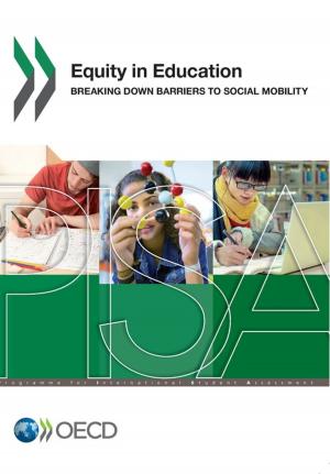 bigCover of the book Equity in Education by 