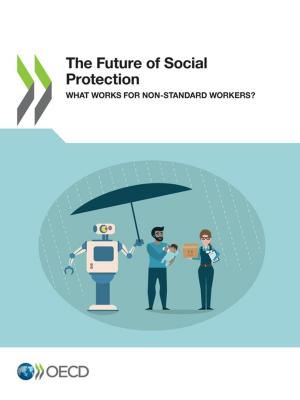 Book cover of The Future of Social Protection