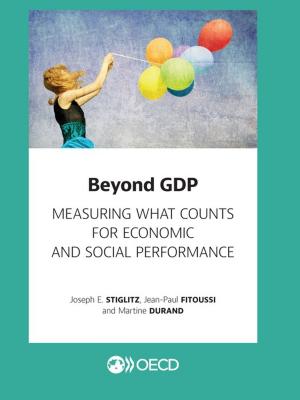 bigCover of the book Beyond GDP by 