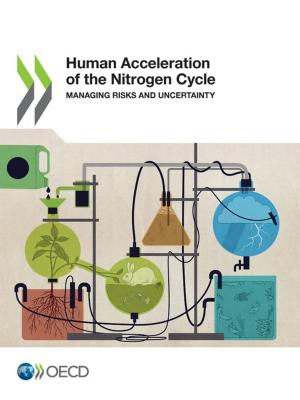 bigCover of the book Human Acceleration of the Nitrogen Cycle by 