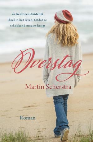 Cover of the book Overstag by Hetty Luiten