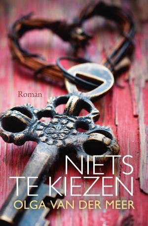 Cover of the book Niets te kiezen by Martin Gaus