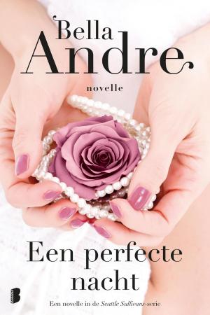 Cover of the book Een perfecte nacht by Lindsey Kelk
