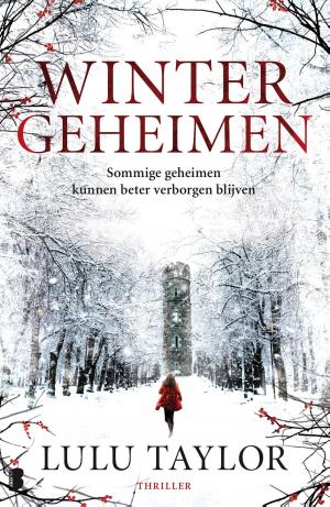Book cover of Wintergeheimen
