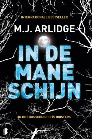 Cover of the book In de maneschijn by Gillian Flynn