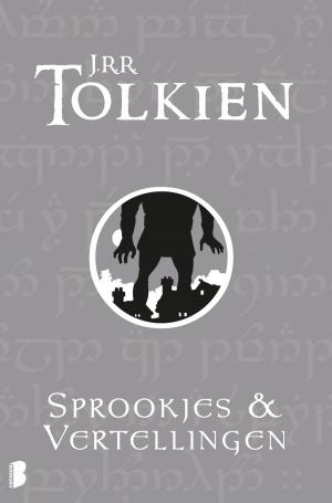 Cover of the book Sprookjes en vertellingen by Terry Pratchett