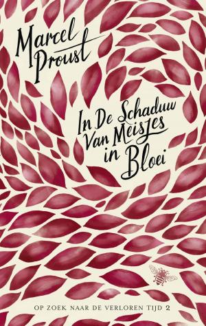 Cover of the book In de schaduw van meisjes in bloei by Marten Toonder