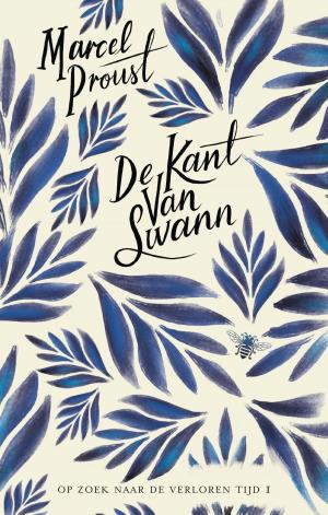 Cover of the book De kant van Swann by Anita Terpstra