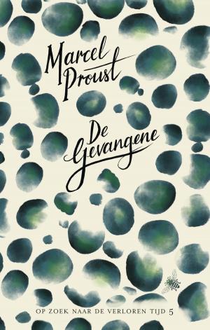 Cover of the book De gevangene by Rudi Vranckx
