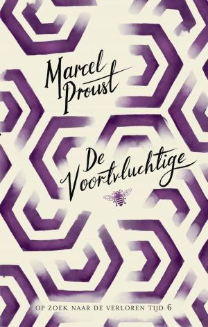 Cover of the book De voortvluchtige by Coen Verbraak