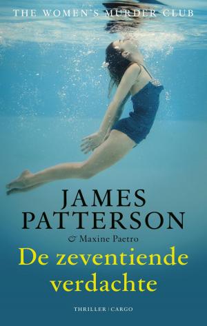 Cover of the book De zeventiende verdachte by Wim Daniëls