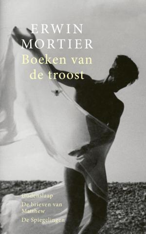 Cover of the book Boeken van de troost by Jesse Klaver