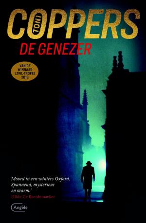 Cover of the book De genezer by Jan Strnad