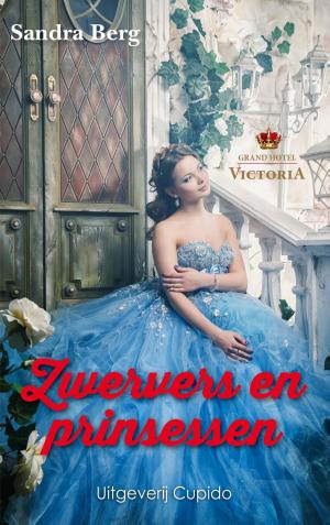 Cover of the book Zwervers en Prinsessen by Anita Verkerk