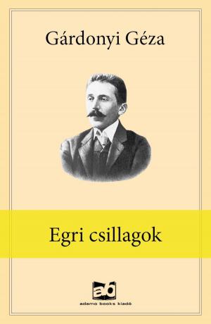 Cover of the book Egri ​csillagok by Nemere István