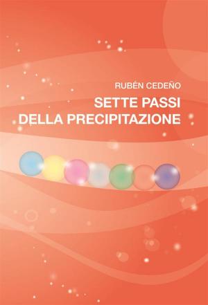 Cover of the book Sette passi della precipitazione by Lady Rowena, Fernando Candiotto