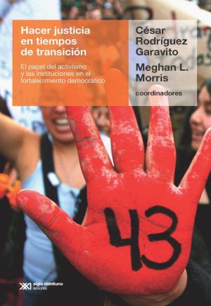Cover of the book Hacer justicia en tiempos de transición: El papel del activismo y las instituciones en el fortalecimiento democrático by César  Rodríguez Garavito