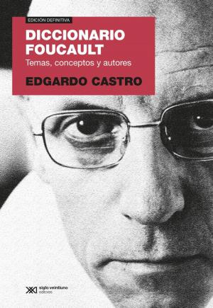Book cover of Diccionario Foucault: Temas, conceptos y autores