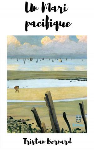 Cover of the book Un Mari pacifique by Chelsea Roston
