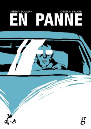Cover of the book En panne by Sébastien Gehan