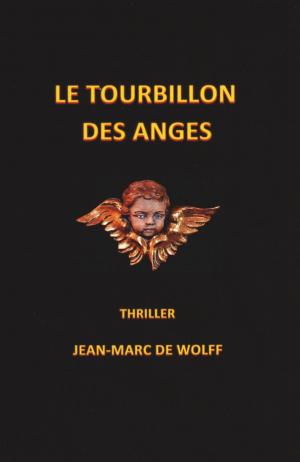 Book cover of Le Tourbillon des anges