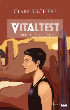 Cover of the book Sans prises by Clara Suchère