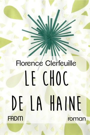 Cover of the book Le Choc de la haine by Jules Verne