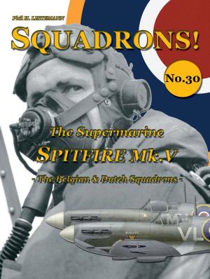 Cover of The Supermarine Spitfire Mk V