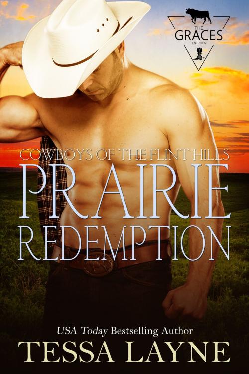 Cover of the book Prairie Redemption by Tessa Layne, Shady Layne Media