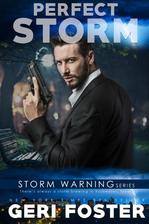 Cover of the book Perfect Storm by Geri Foster, Geri Foster
