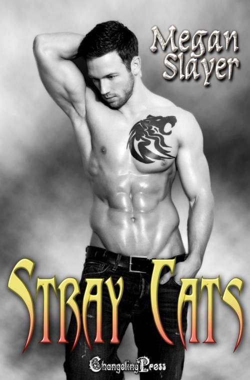 Cover of the book Stray Cats by Megan Slayer, Changeling Press LLC