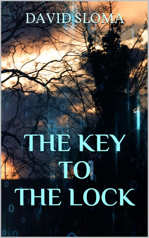 Cover of the book The Key to the Lock by David Sloma, Web of Life Solutions