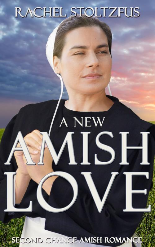 Cover of the book A New Amish Love by Rachel Stoltzfus, Global Grafx Press