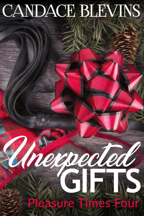 Cover of the book Unexpected Gifts by Candace Blevins, Kaleidowords Publishing