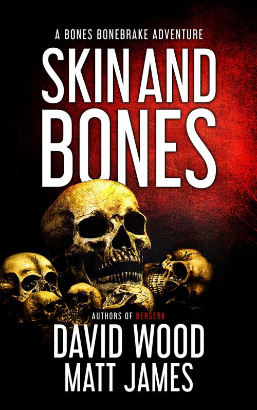 Cover of the book Skin and Bones by David Wood, Matt James, Gryphonwood Press