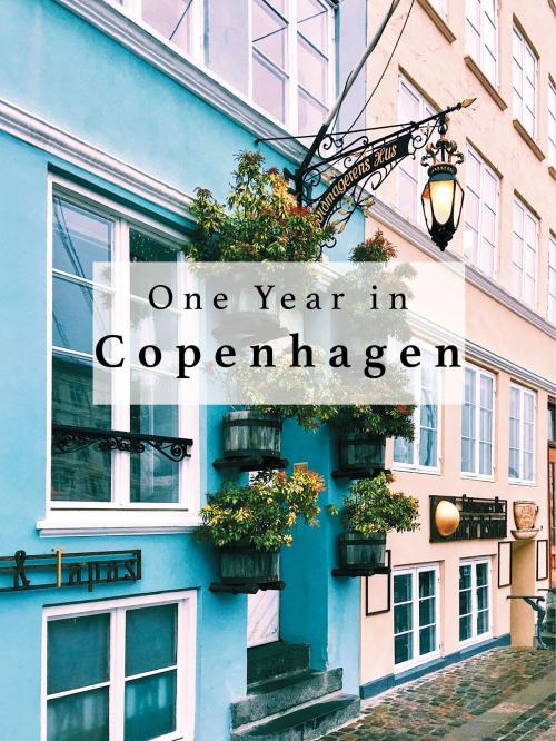 Cover of the book One Year in Copenhagen by Twice Abroad, Twice Abroad