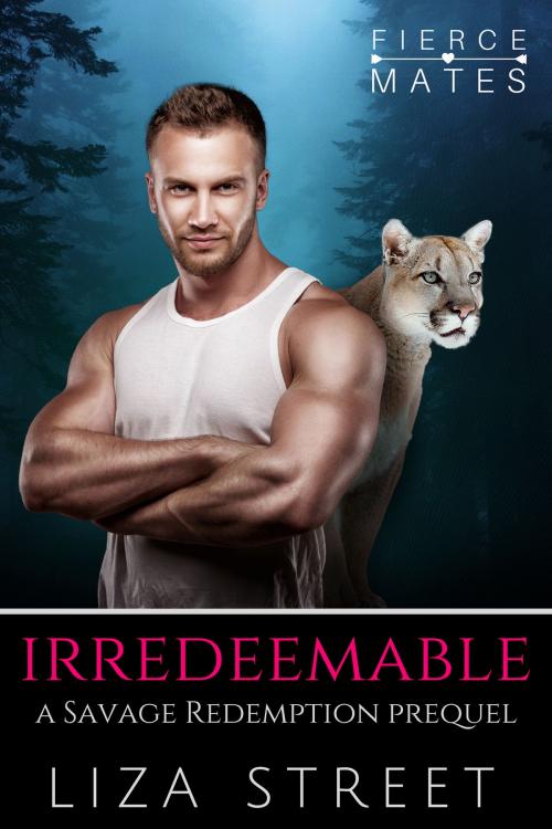 Cover of the book Irredeemable by Liza Street, Liza Street