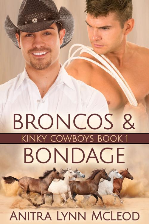 Cover of the book Broncos & Bondage by Anitra Lynn McLeod, Anitra Lynn McLeod