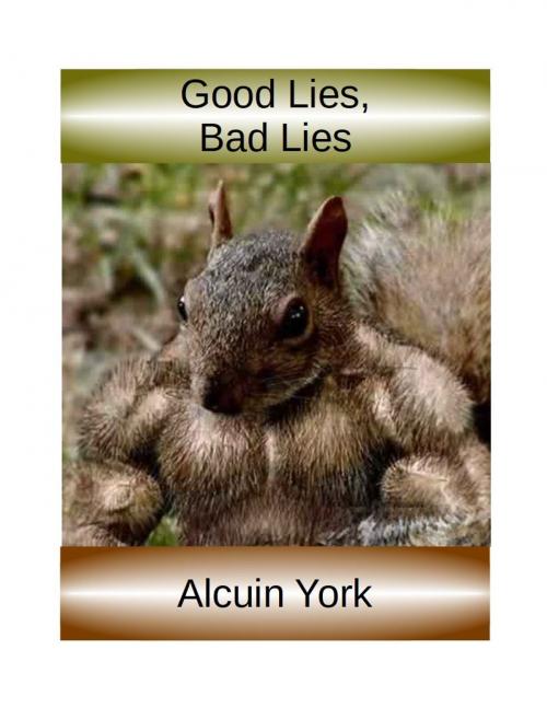 Cover of the book Good Lies, Bad Lies by Alcuin York, FRM Publishers