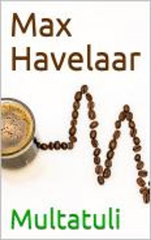 Cover of the book Max Havelaar by Multatuli, JS