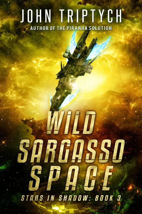 Cover of the book Wild Sargasso Space by John Triptych, J Triptych Publishing