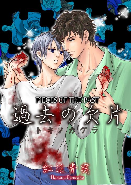 Cover of the book Pieces of The Past (Yaoi Manga) by Harumi Benisako, MediBang