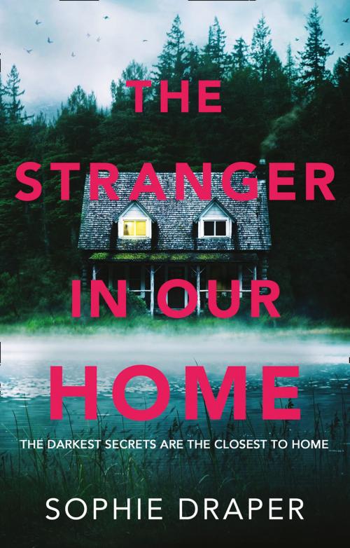Cover of the book The Stranger in Our Home by Sophie Draper, HarperCollins Publishers
