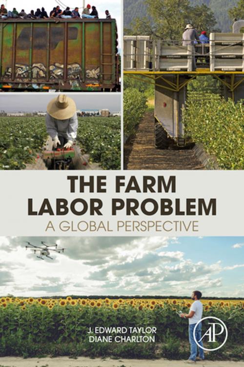 Cover of the book The Farm Labor Problem by J. Edward Taylor, Diane Charlton, Elsevier Science