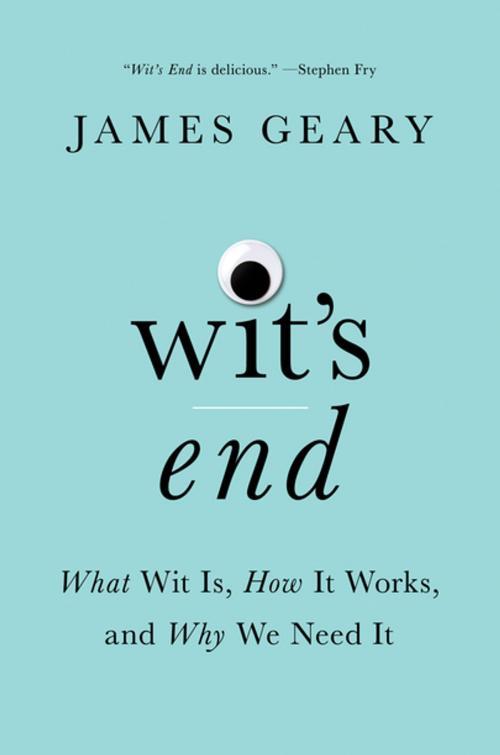 Cover of the book Wit's End: What Wit Is, How It Works, and Why We Need It by James Geary, W. W. Norton & Company