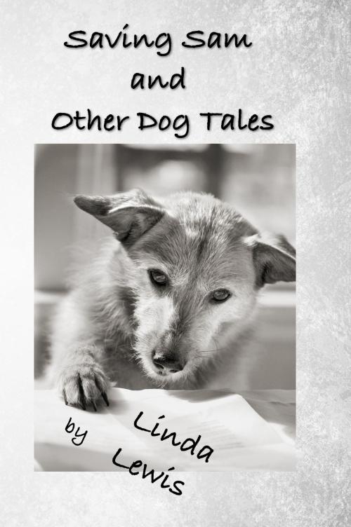 Cover of the book Saving Sam and Other Dog Tales by Linda Lewis, Alfie Dog Limited