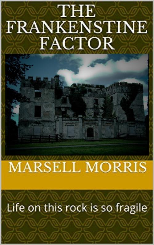 Cover of the book The Frankenstine Factor by Marsell Morris, Marsell Morris