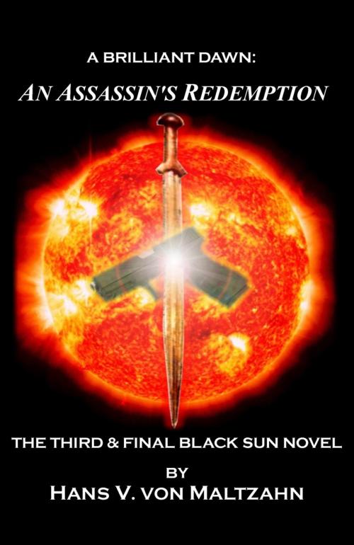Cover of the book A Brilliant Dawn: An Assassin's Redemption by Hans V. von Maltzahn, Hans V. von Maltzahn