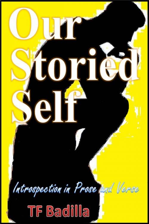Cover of the book Our Storied Self by TF Badilla, TF Badilla