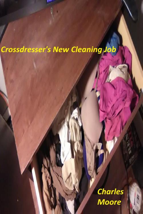 Cover of the book Crossdresser's New Cleaning Job by Charles Moore, Charles Moore
